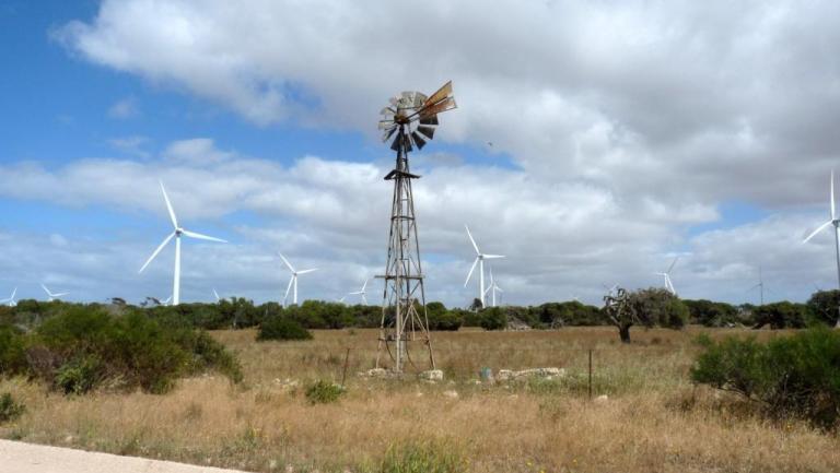 Windr&auml;der am Wattle Point